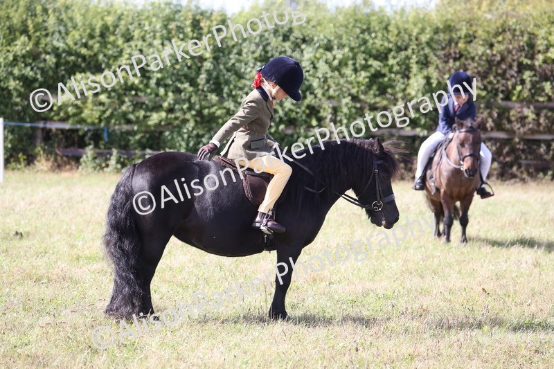 20260906-3078 - Class 18 - Childs First Pony