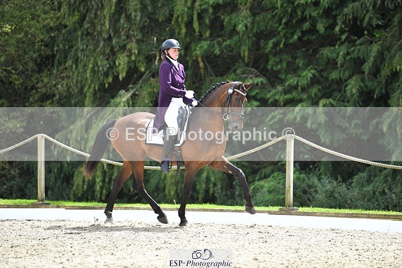 230812-134337-04494 - Cls 7 FEI PSG Bronze