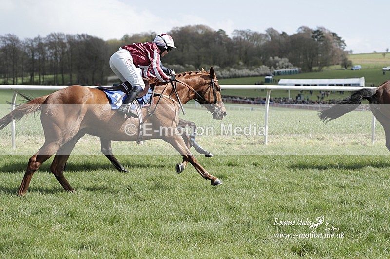 PtP 100423 504 - Old Berkshire Point-to-Point Lockinge 10/04/23