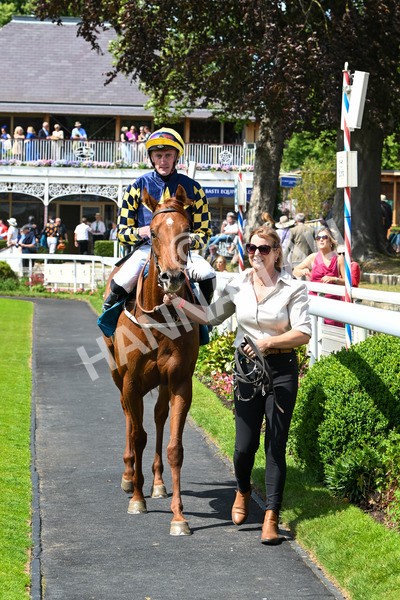 130625-Race 2-Carnation Queen-8728 - Race 2 2.25pm Coopers Marquees Rous Selling Stakes