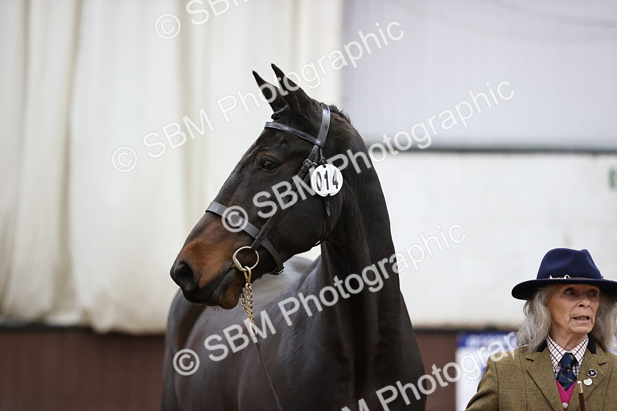 SBM_5626 - Class 40 - RESS In Hand Qualifier