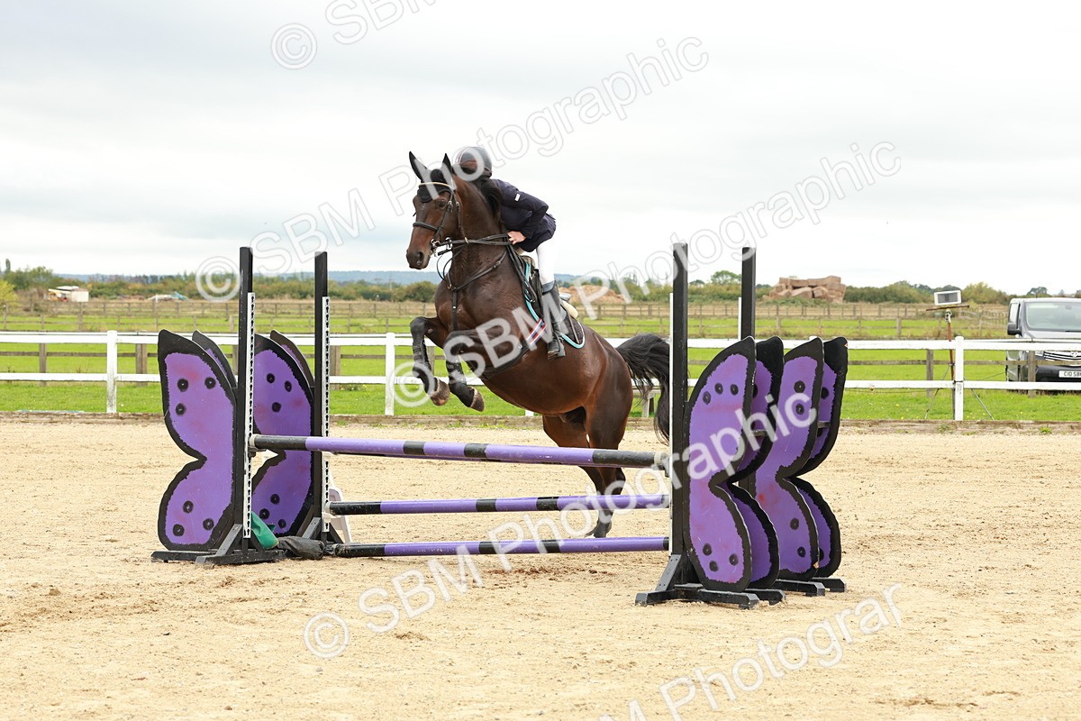 1I0A6932 - Class 2 - Senior British Novice