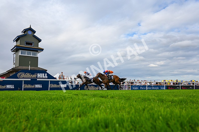 300826-Race 6-Court Legend-6192 - Race 6 4.30pm Return Of The Legend Martin Spencer Nursery Handicap