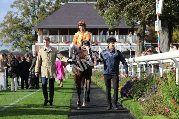 yr07102022r3-43 - Race 3 3.15pm British EBF £100,000 2yo Series Final (Colts and Geldings)