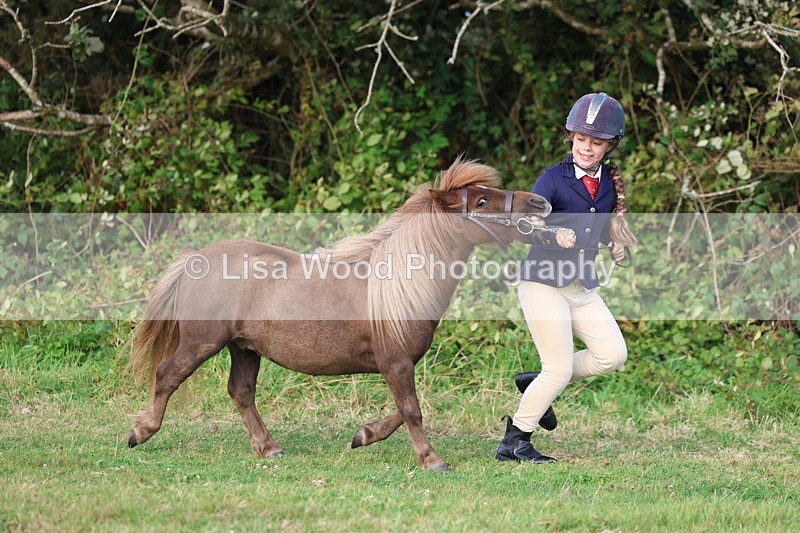 3E7A3198 - Class 12: M & M Small Breeds