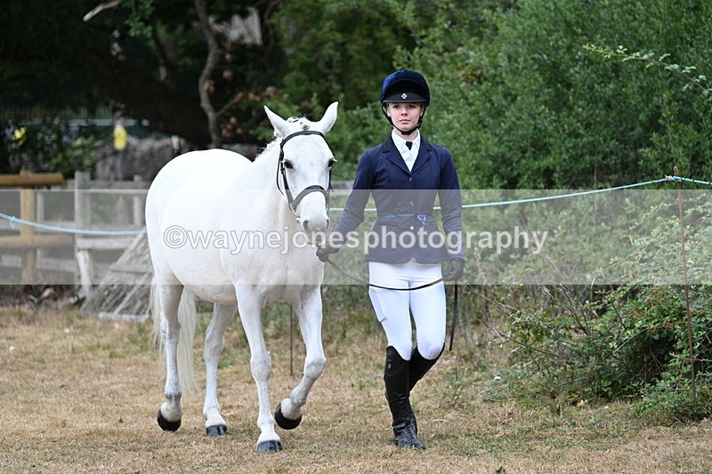 WJ7_8673 - Class 4a Prettiest Mare 14.2hh and over