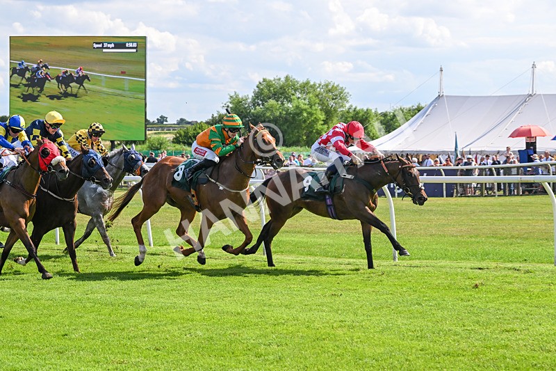 160725-Race 4-Lady Bouquet-9149 - Race 4