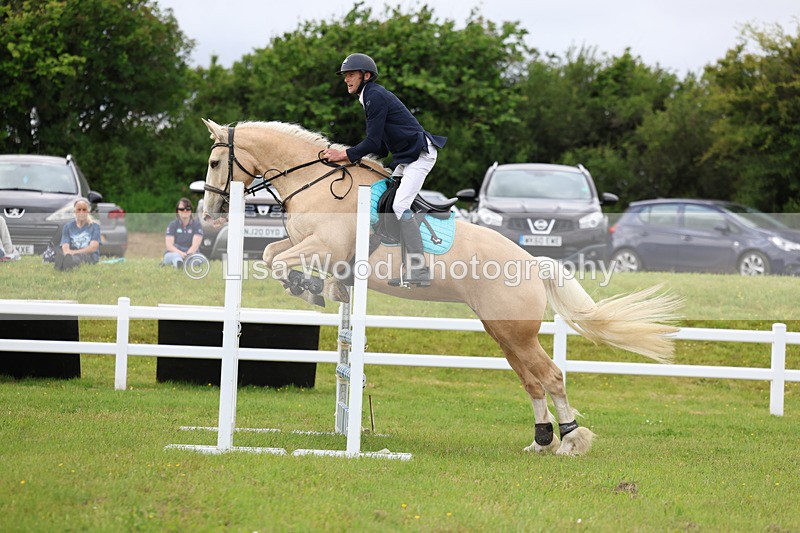 3E7A7648 - Class 13: Senior British Novice/90cm open
