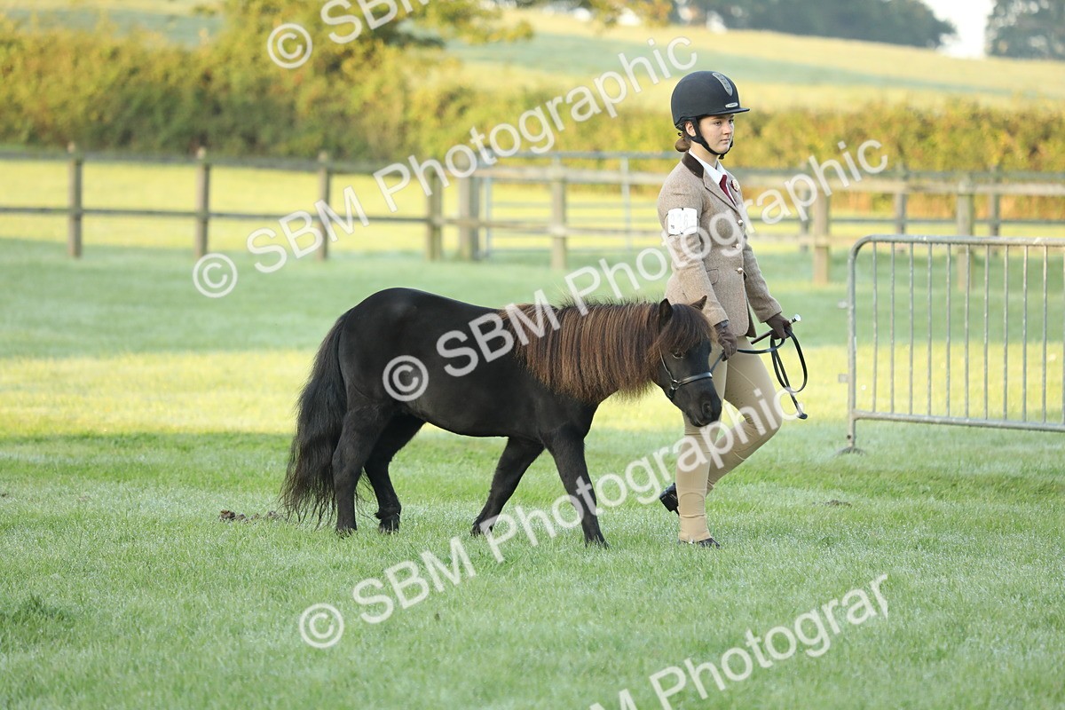 SBM_57773 - S42 - Youngstock