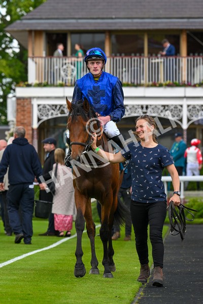 140624-Race 2-Inconspicuous-4026 - Race 2 2.25pm CGE Yorkshire Rous Selling Stakes