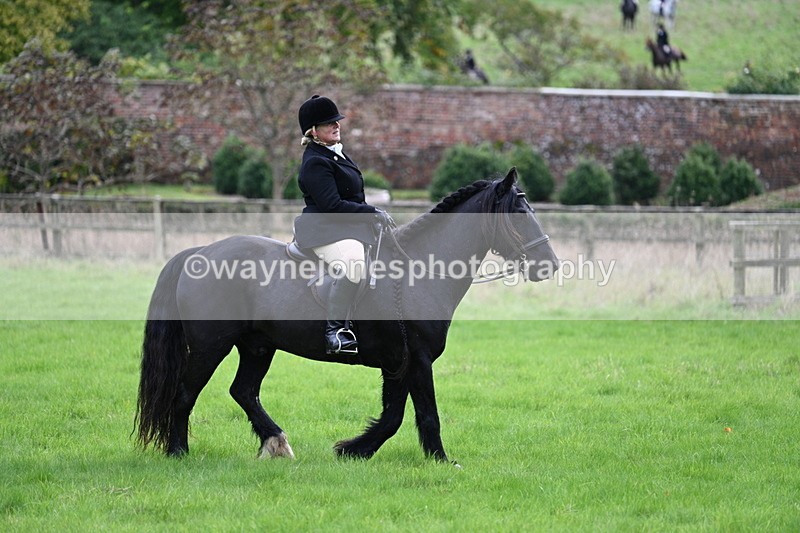 WJ7_4649 - Camera 1 Line 3