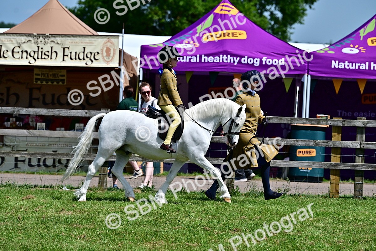 SBM_05918 - Class 59-60 - TSR M&M  Lear Rein and First Ridden Amateur of the year