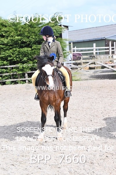 BPP_7660 - RING 1  (RIDDEN HORSES / IN HAND / VETERAN ETC)