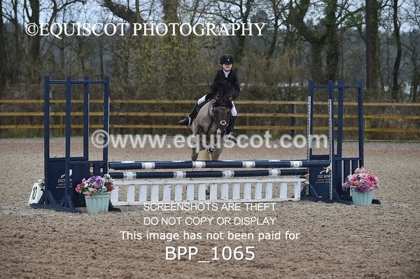 BPP_1065 - CLASS 1 Club/ Unaffiliated 60cms Open