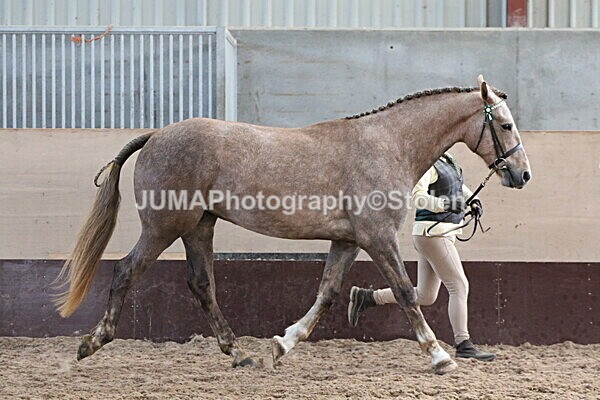 SIAL9631 - Indoor Classes