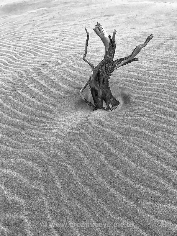 No.0061. Beach art. Collingwood, Puponga, New Zealand. - Landscape