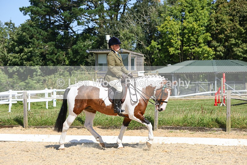 1X9A8131 - Class 12: Coloured Ridden