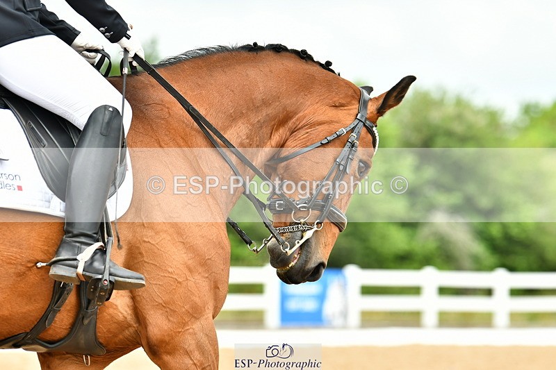 230701A-121940-06048 - Cls 8 Elementary 57