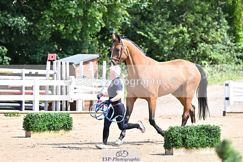 240718A-105237-00935 - Trot Up 11am to 12pm