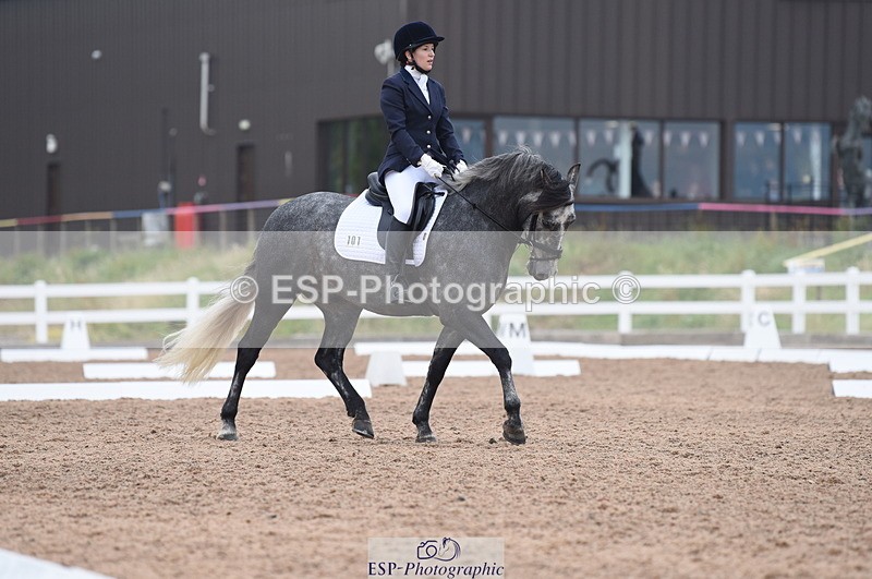 230708A-103710-01408 - Prelim 7