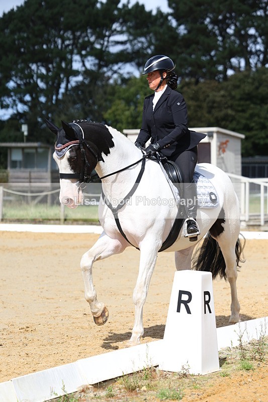 3E7A4077 - Class 9: Novice 6 Section B Championship