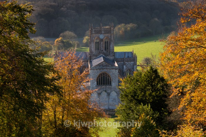 Milton Abbey - Gallery 5