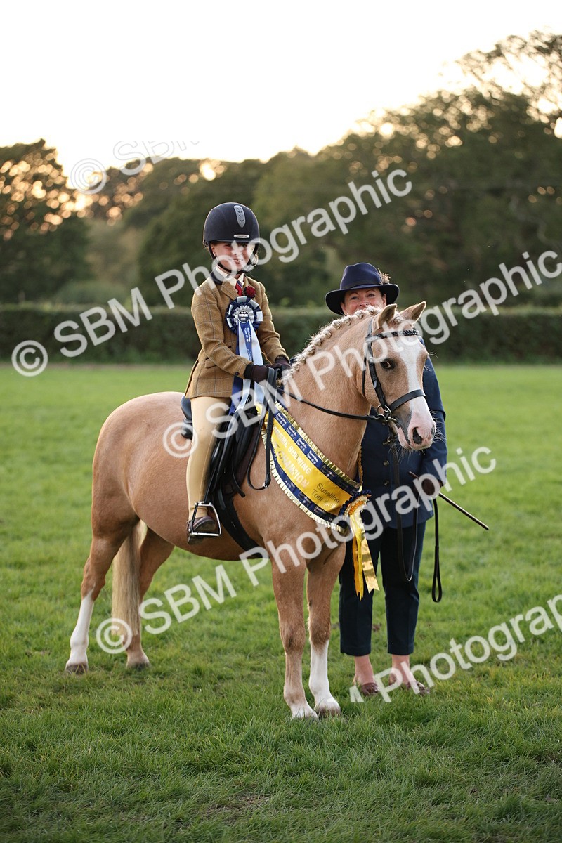 SBM_57113 - Super Supreme Championship