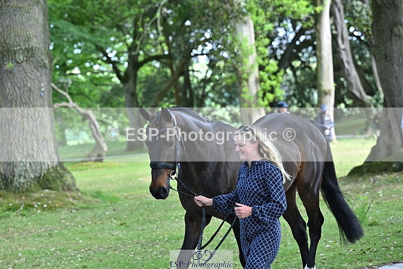 250521A-155234-00814 - B-376-Lucy.Robinson-BELLINE.SECOND.CHANCE