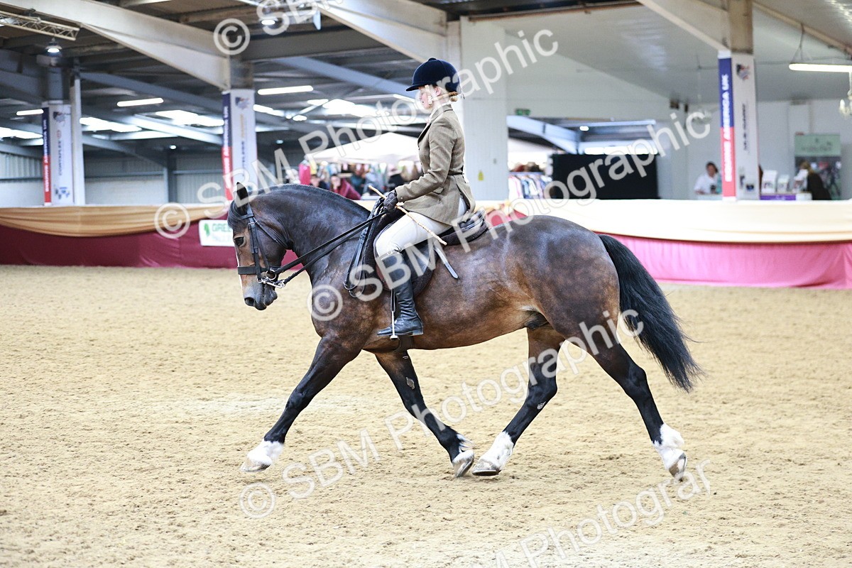 SBM_03600 - Class 6A Area Ridden Pre-Vet