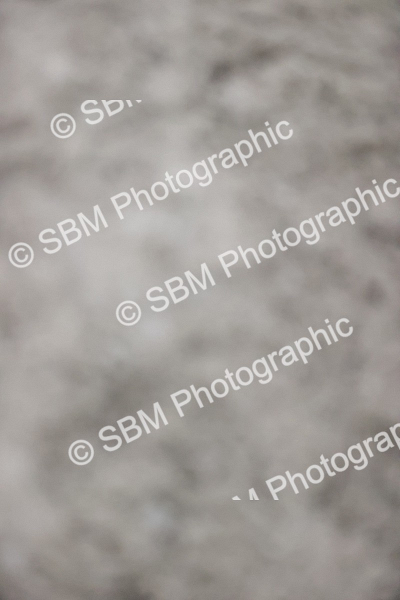 SBM_002079 - Class 6 - Blue Chip Dynamic B&C Championship Qualifier