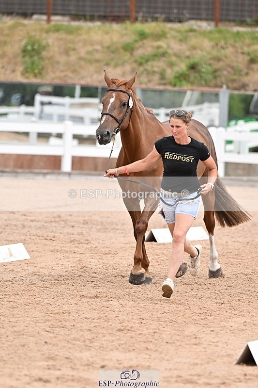 250716-143058-01156 - Trot Up 2.30 to 3.30