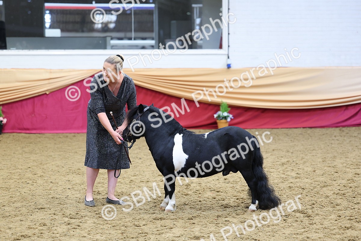 SBM_22914 - Class 903 - Supreme Final - IH Pre Vet