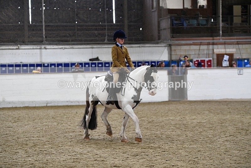 WJ5_7291 - Class 11 Ridden PC - RC Pony