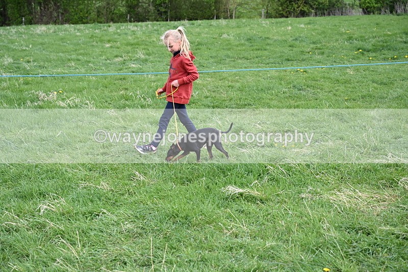 WJ6_8098 - Class 2 Best Pedigree