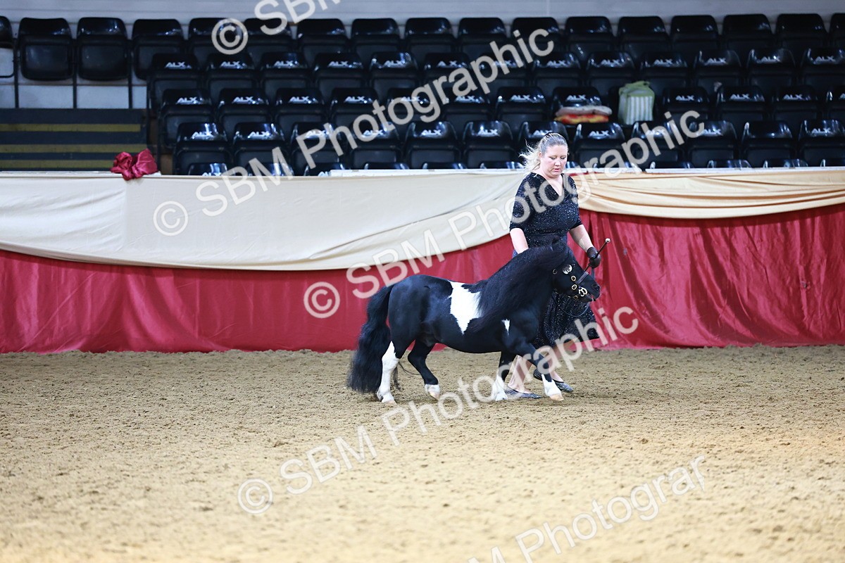 SBM_23100 - Class 903 - Supreme Final - IH Pre Vet