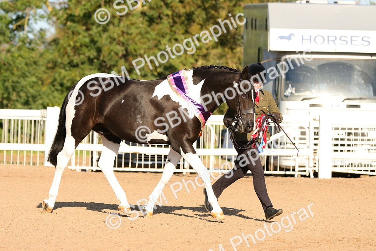 SBM_08099 - Class 201 - Best Turned Out - IH