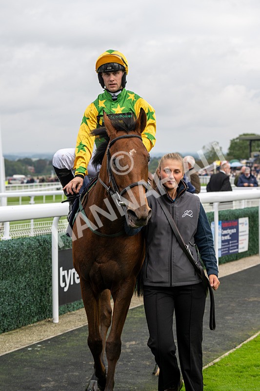 240924-Race 2-The Trickster-5977 - Race 2