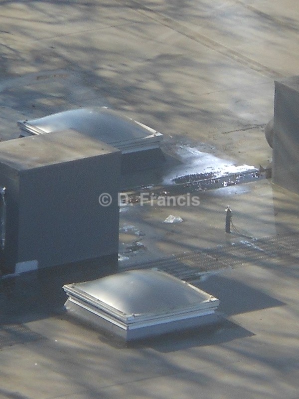 Rain On Rooftop - Fine Art