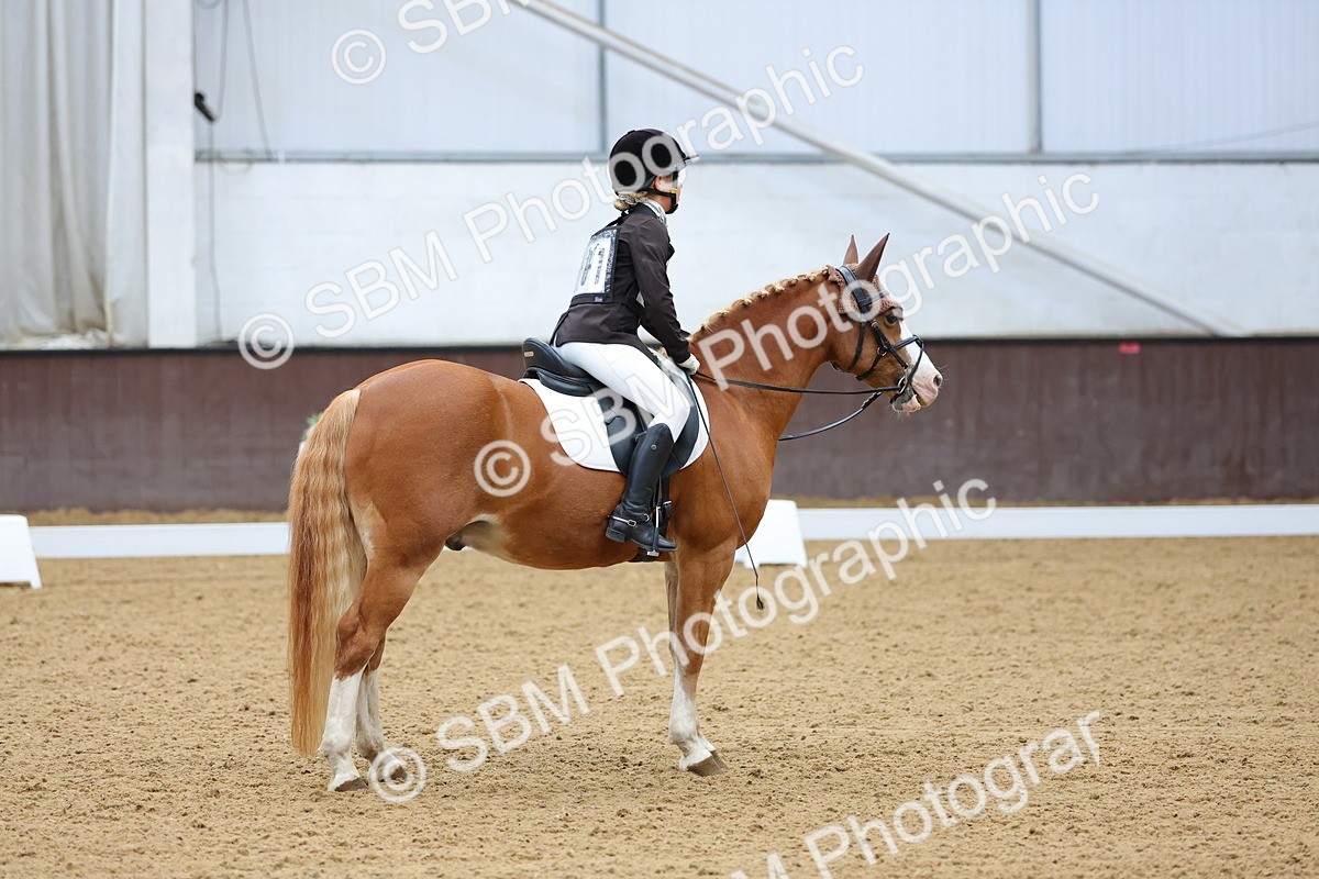 SBM_002975 - Novice