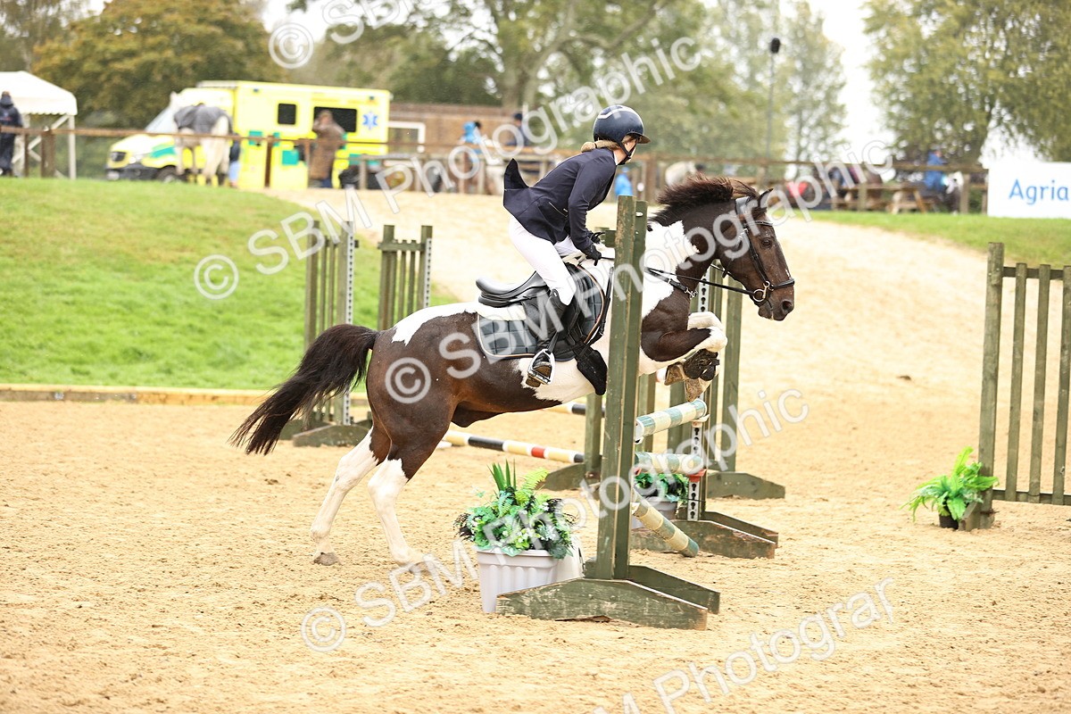 SBM_70046 - Supreme Championship 80cm 85cm