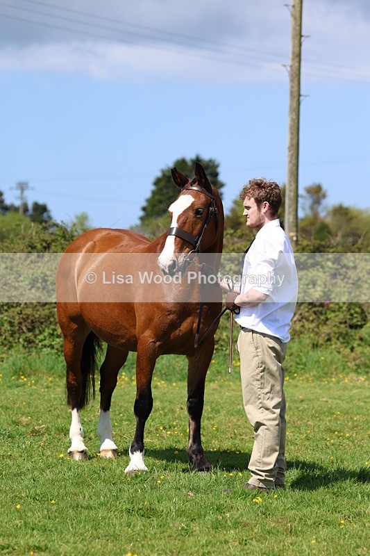 3E7A0336 - Class 19: Best Coloured in Hand