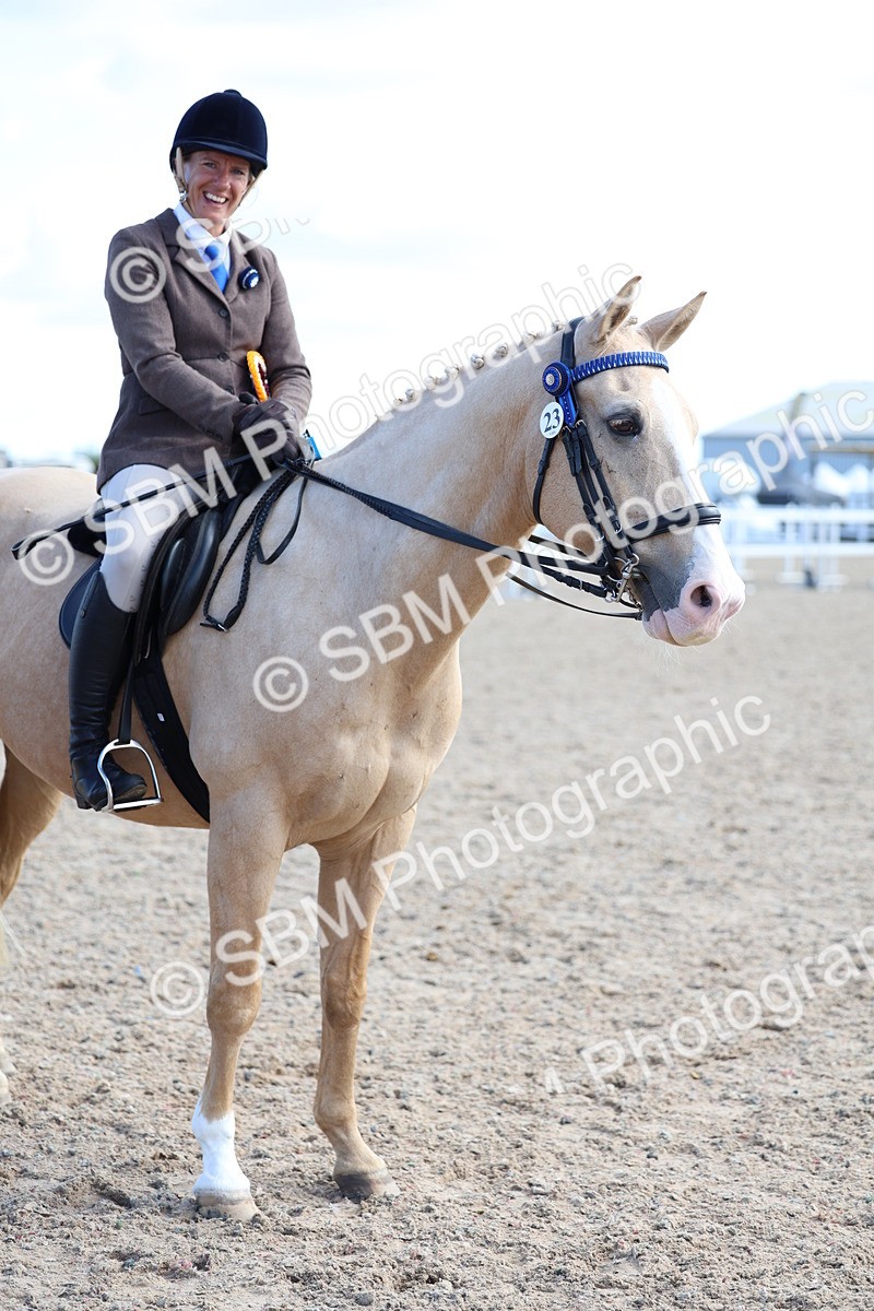 SBM_11250 - Class 306 - Ridden Foreign Breeds - Part Bred