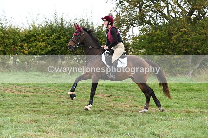 WJ6_1364 - Time 10:05 to 10:30  (3 cameras)