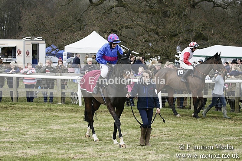 PtP 110318 105 - Hampshire Hunt Point-to-Point Hackwood Park 11/03/18