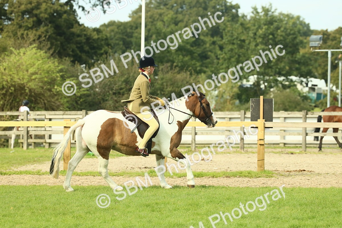 SBM_68125 - S57 - Part Bred Pony Ridden