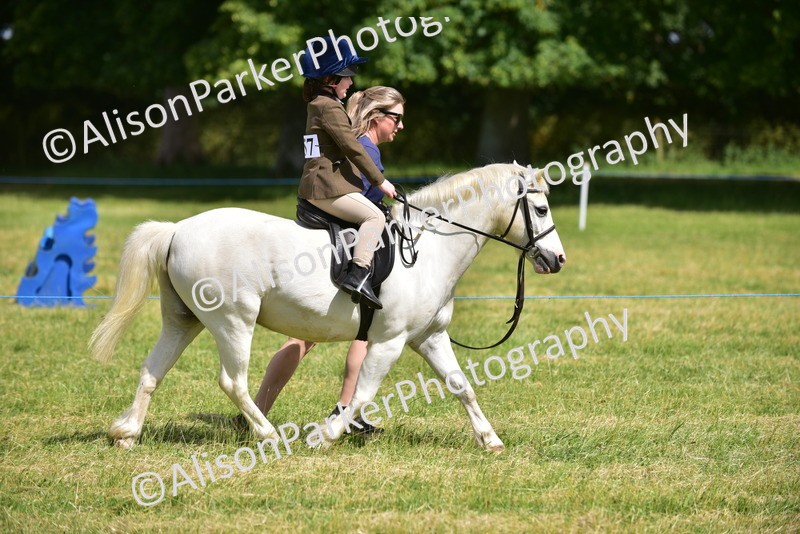 20260614-1185 - Class 11a - Lead Rein Pony (Unplaited)