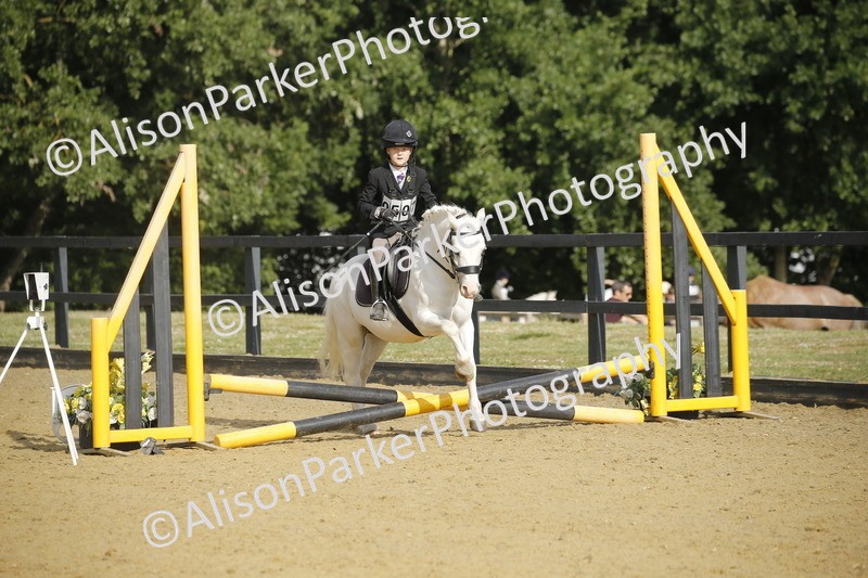 20250622-1200 - 40cm