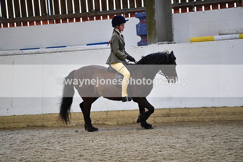 WJ5_6929 - Class 10 Childs Pony