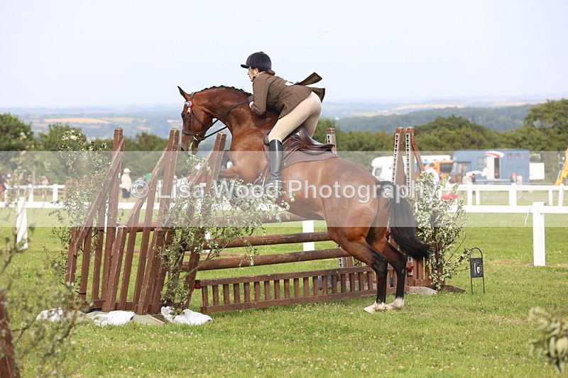 JPP_4185 - Class 25: Working Show Horse