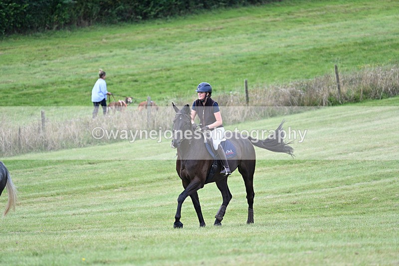 WJ7_6589 - Time 12:00 to 12:17